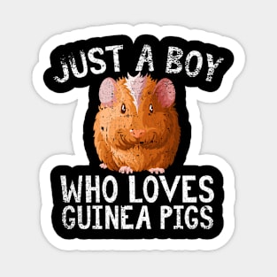 Just A Boy Who Loves Guinea pigs Sticker